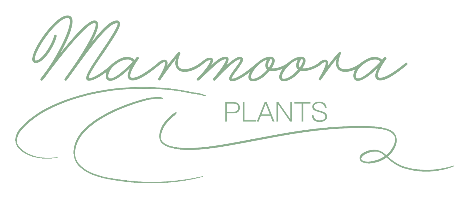 Marmoora Plants